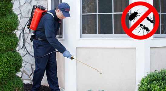 Kemer Hamam Böceği İlaçlama böcek ilaçlama ve haşere kontrolü — ilaclama-tr.com